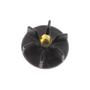 Watercooled Impeller 50cc 487730