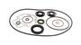 Oil And Gasket Set 497544