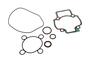 Oil Seal And Gask Set Purejet 4975906