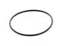 Seal Ring (O-Ring) 601552