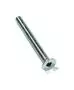 Flat Head Screw 653019