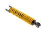 Complete Rear Shock Absorber 668009