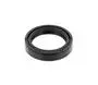 Oil Seal 669031