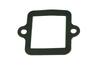 Reed Valve Gasket 744699