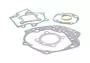 Gasket Set 753149