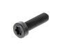 Screw Cx M6x1.00-20 774715