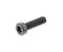 Screw M8x1.25-16 779869