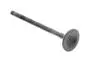 Exhaust Valve 802115