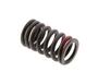 Valve Spring 802116