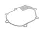 Crankcase Gasket 802188