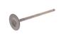 Intake Valve 803268