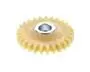 Oil Pump Gear 832906