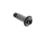 Special Screw 841616