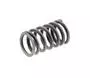 Valve Spring 845782