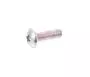 Screw, Round Head 901500300800