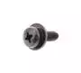 Screw, With Washer (25g) 901590606700