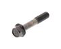 Bolt, Flange 958171006000