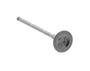 Exhaust Valve 125cc AP3CLA000637