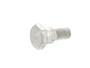 Central Stand Fixing Screw AP8121932