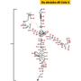 Membrane f. Beschleunigerpumpe MA4571