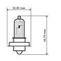 RMS Žárovka Halogen 12V 15W P26S - čirá